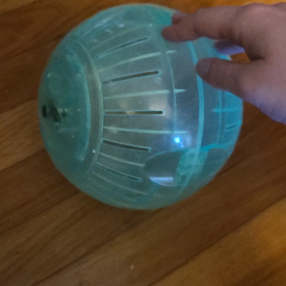 Hamster ball & water bottle